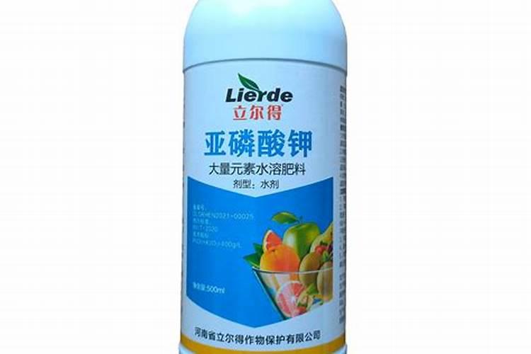 洋葱种植膨果期间用肥料