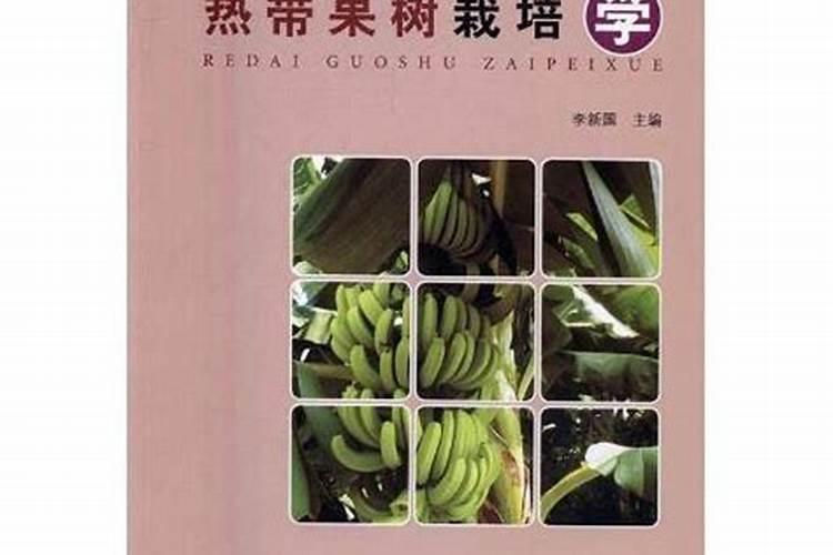果树叶面肥有哪些