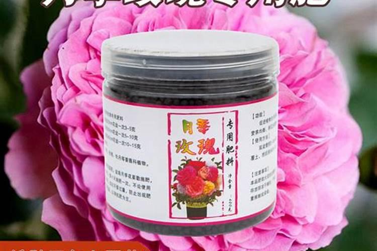 月季用什么有机肥
