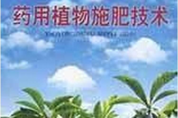 茶梅花施什么肥最好