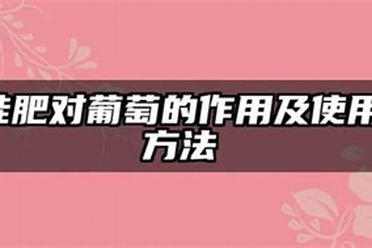 梨树多久浇次水一次最好