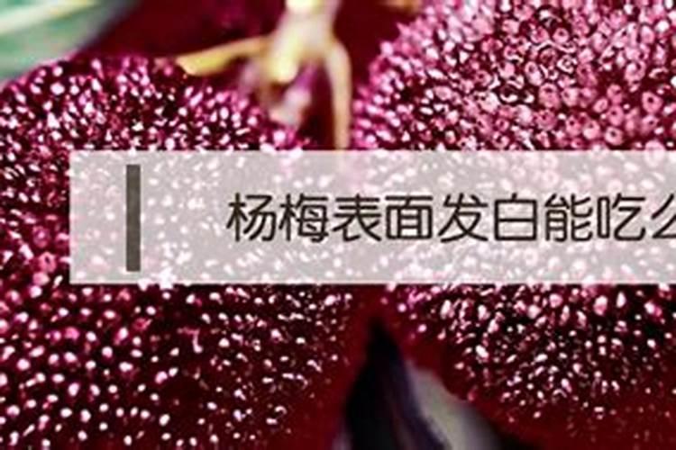 杨梅施什么肥料好