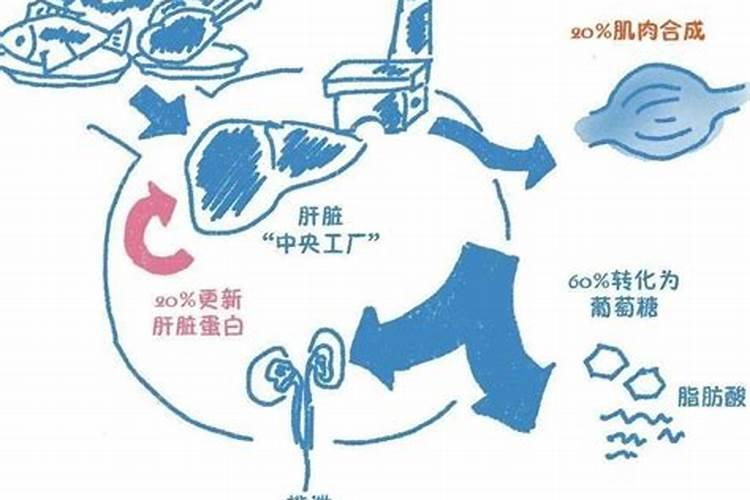 含氨基酸水溶肥料使用方法