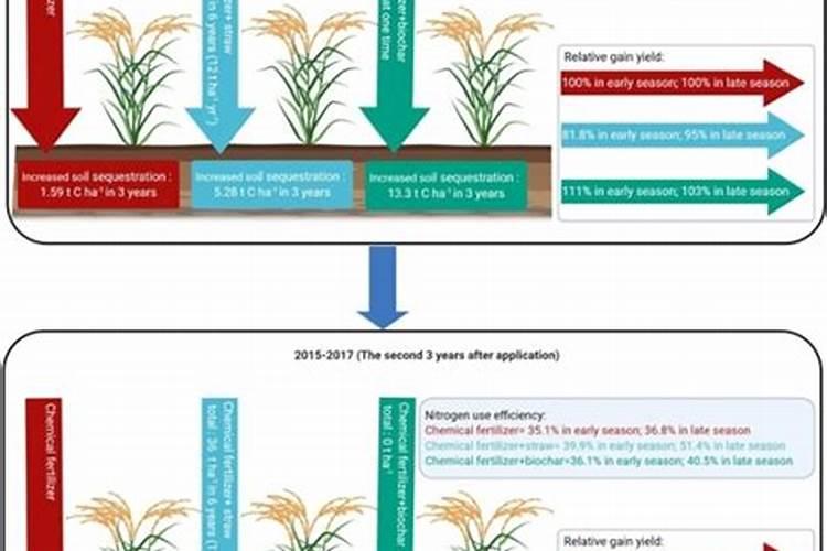 氨基酸液体肥料的功效与作用
