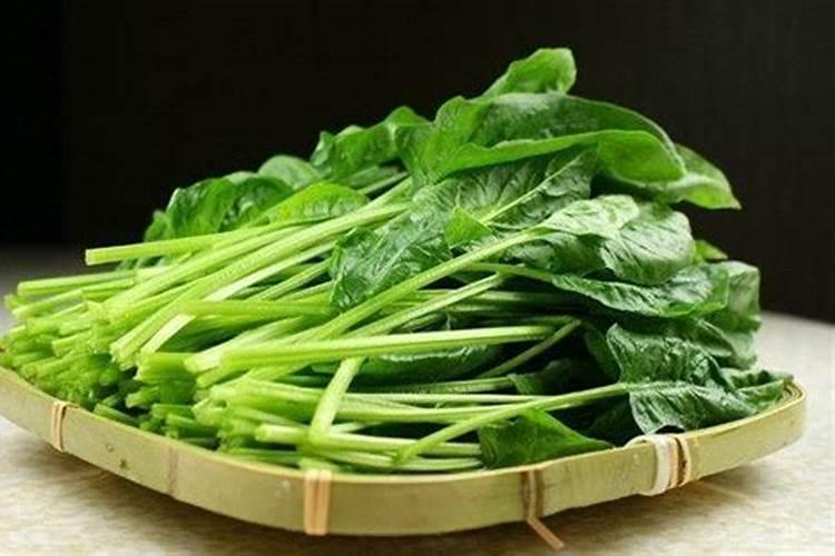 当种植菠菜的时候,肥料该如何放置呢？