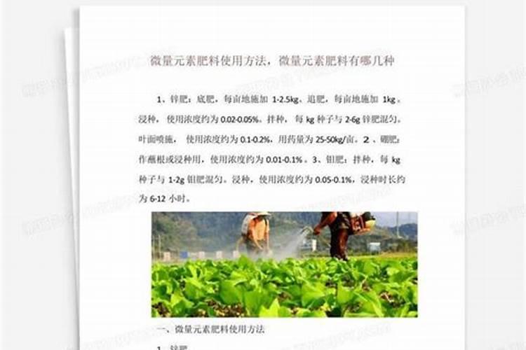 微量元素肥料有哪些 微量元素肥料有什么作用