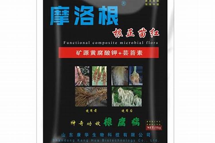 芸苔素种类繁多哪种芸苔素效果最好？芸苔素有哪些作用？