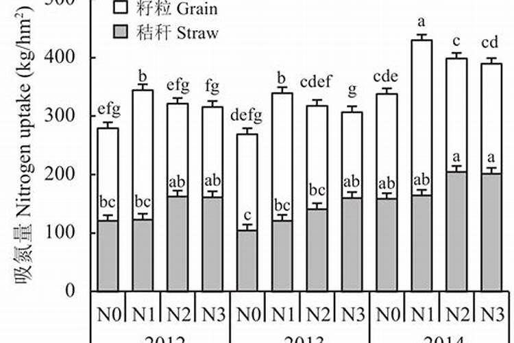 西瓜坐果后如何施肥