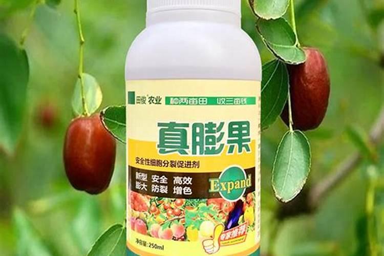 桃树膨果期使用钙肥哪种好？桃树膨果期增产管理这样做