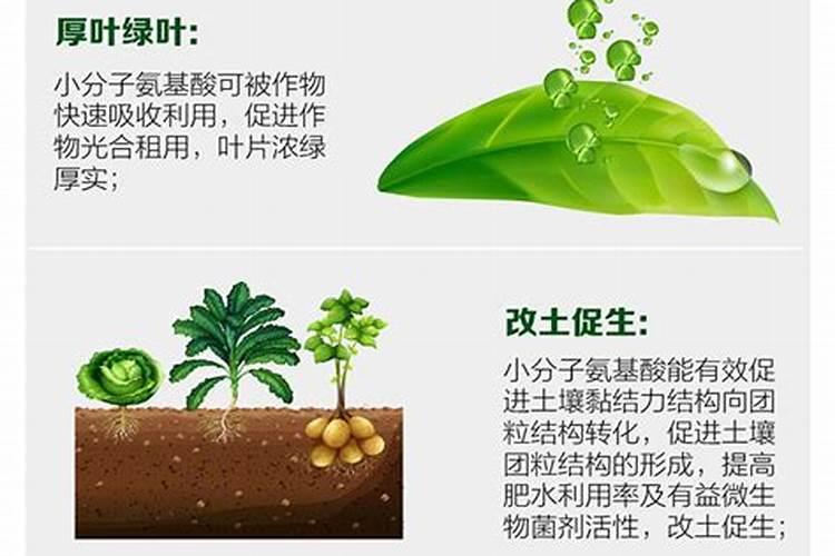 水溶肥是什么肥料