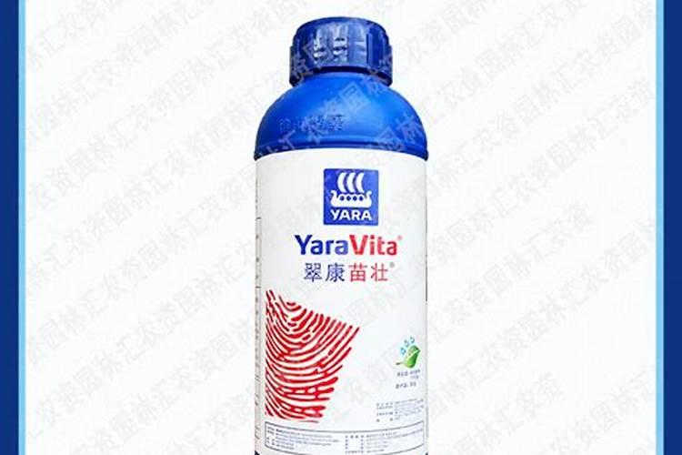 老师公棚里的黄瓜秧子细,冲施肥料,打什么药,可以瓜央粗,根系好