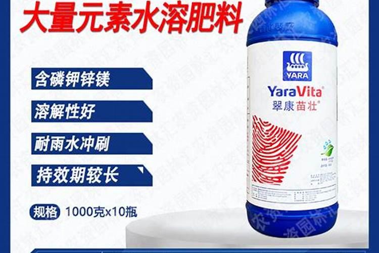 什么是葡萄膨大期如何管理