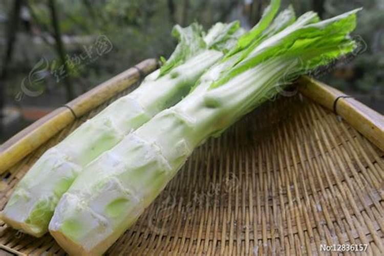 呙笋用什么作叶面肥最好效果最快