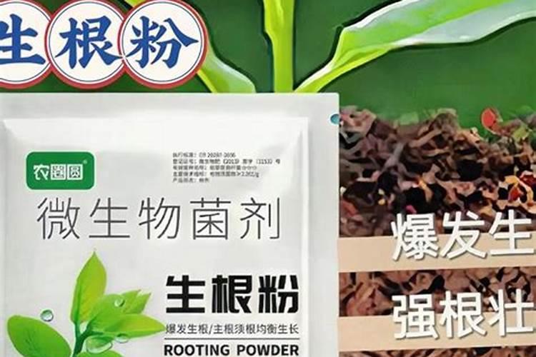 尿素加复合肥对百香果的作用