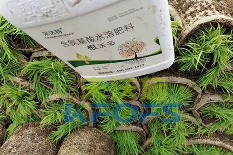 水溶肥能代替复合肥吗