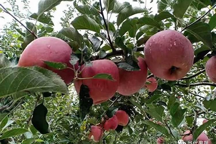 施肥盒为什么能卡住