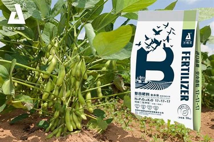 种黄豆用什么复合肥