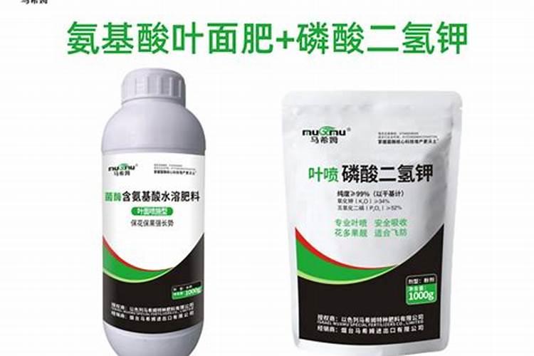 草莓低温季节冲施肥有效果吗