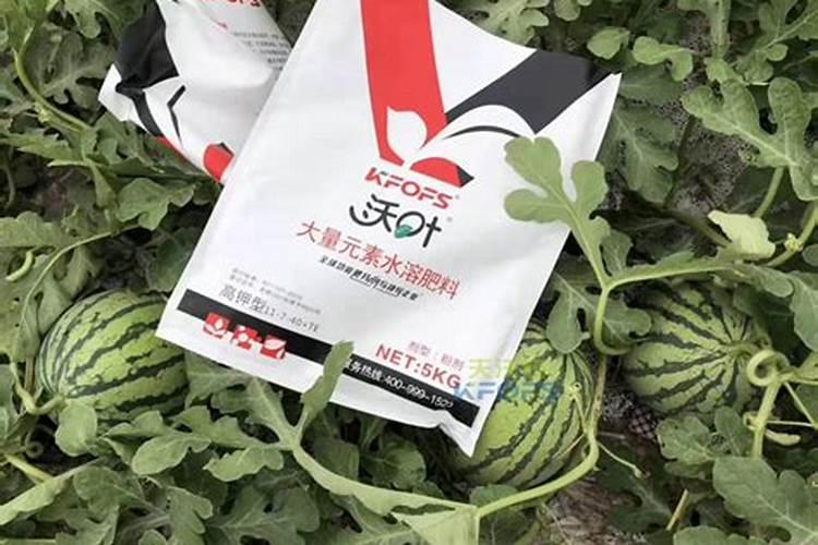 水溶复合肥在西瓜什么阶段使用？