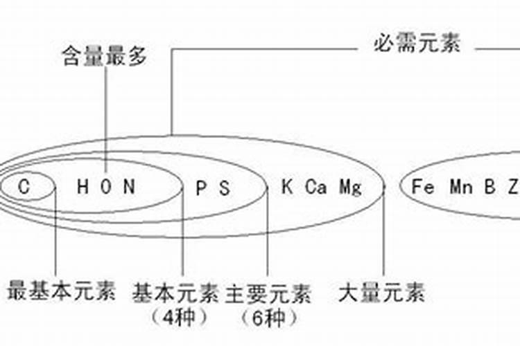 大量元素和微量元素有哪些