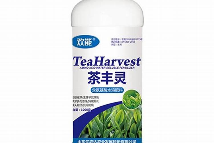 桔子盆栽用什么肥好