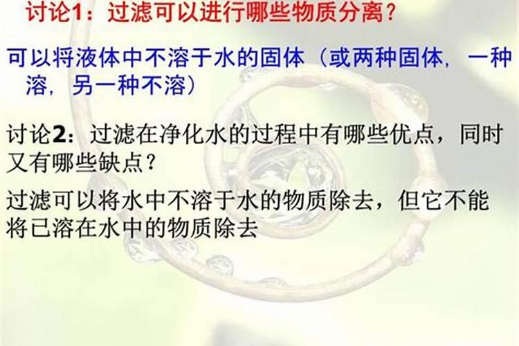 鱼塘水变黑怎样处理