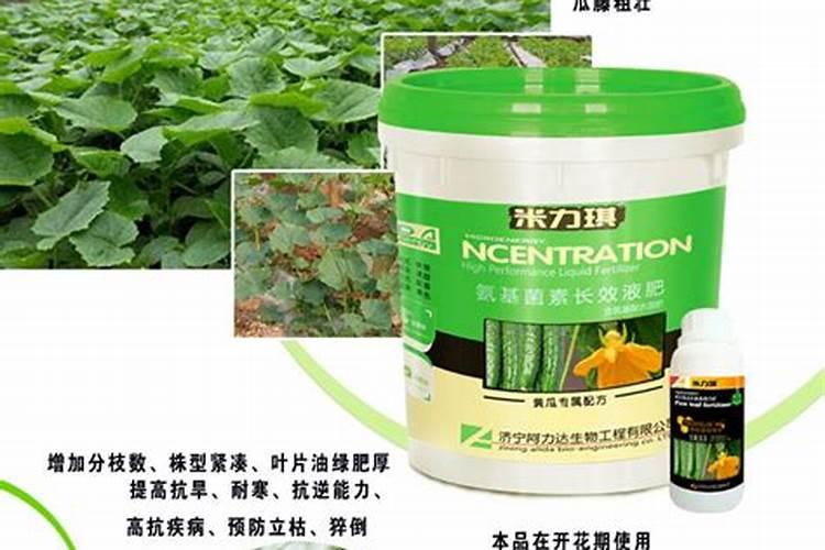 黄瓜追肥用什么肥料好
