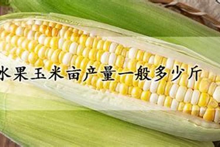 掺混肥十大排名