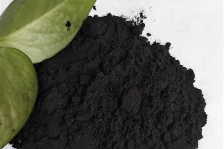 花椒籽怎么育苗