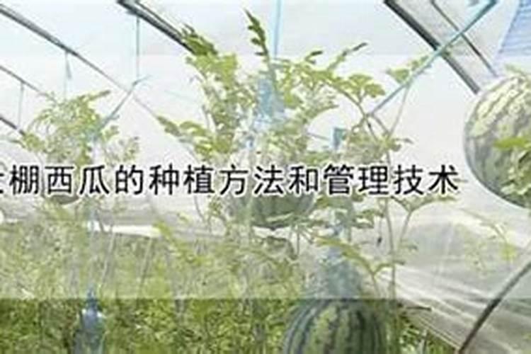 超市里含钾的盐有哪些