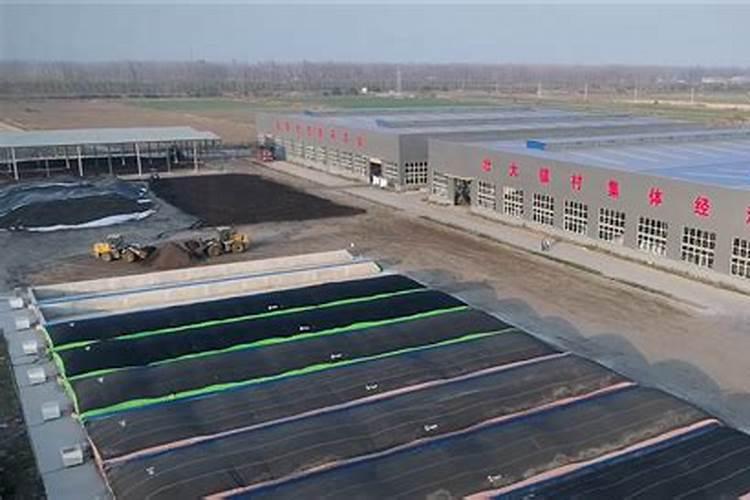 什么是蓝筹股？目前市场有哪些较好的蓝筹股？