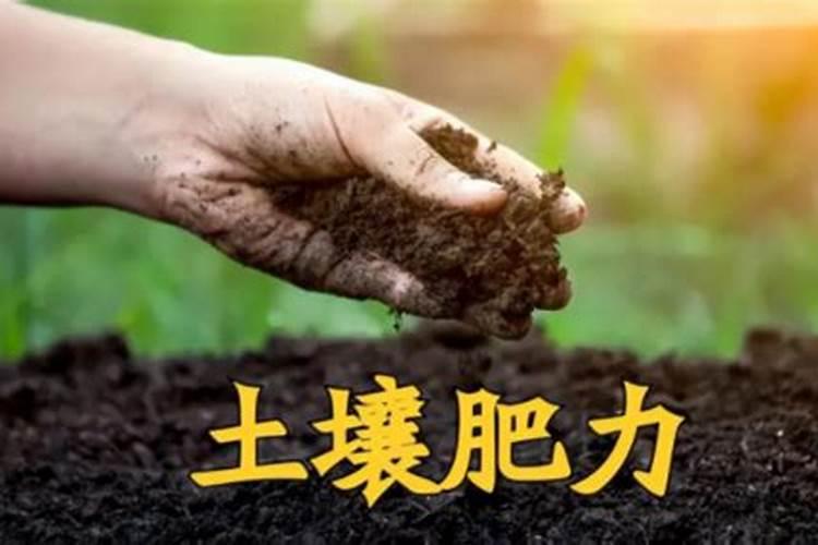 提高土壤肥力的方法