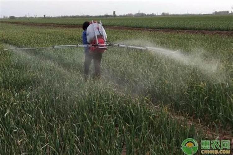 打完除草剂多久可以打肥？