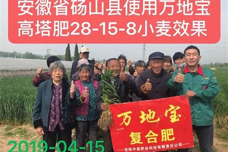 种菜用二铵好还是复合肥好