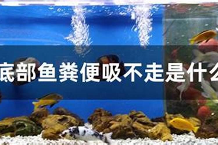 天然肥料有哪些