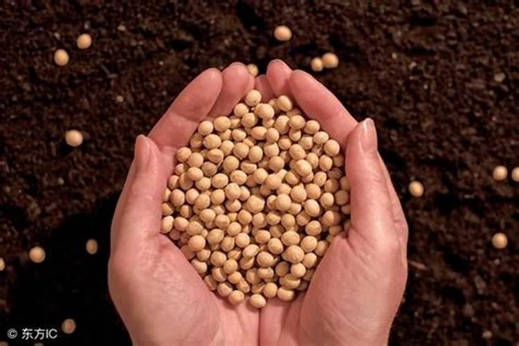 超市往蔬菜上所喷的白雾究竟是什么玩意儿