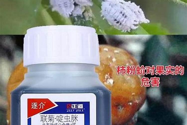 葡萄开花期打什么药