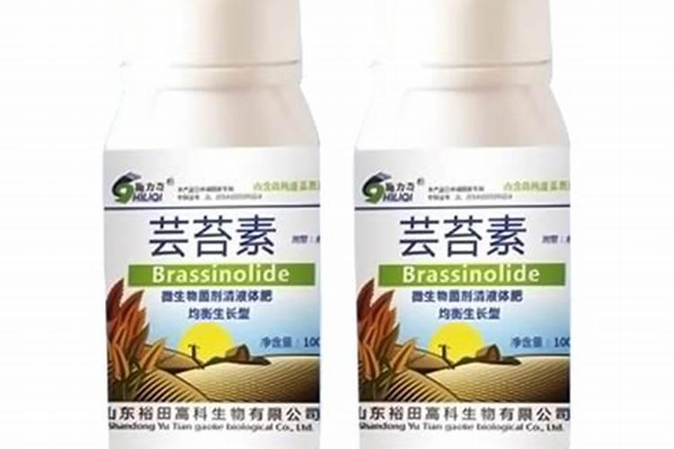 蔬菜补镁非常关键,那该用怎样的方法进行补镁呢？