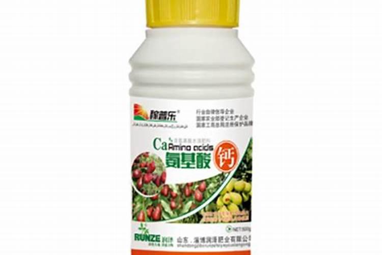 海藻颗粒是什么植物