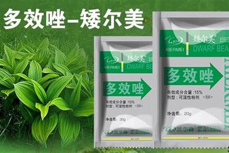 甲霜恶霉灵灌根使用量