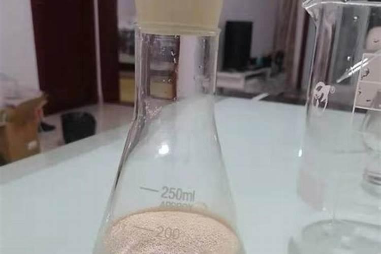 红糖加酵母栽月季能活吗