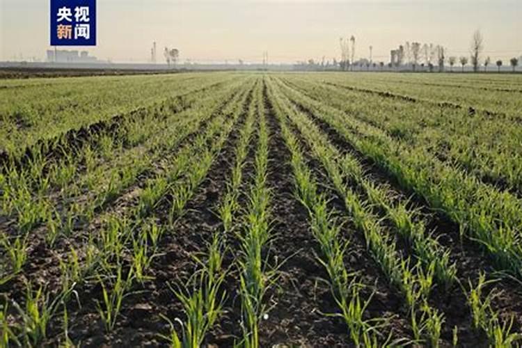 安佳芝易和安佳有什么区别