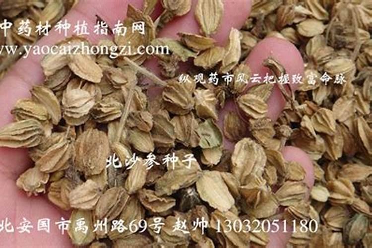 想问肥料能与种子同穴吗