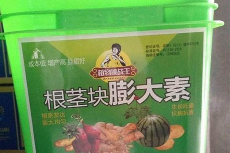 茶花多久施一次肥