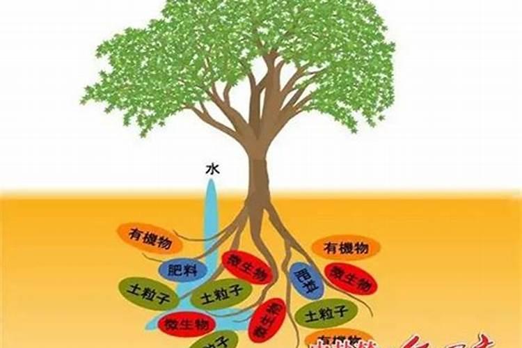 控释肥的使用方法