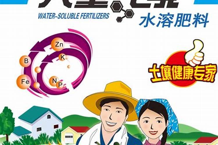夏威夷果的功效与作用