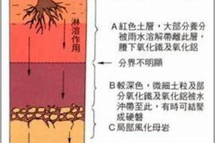 苹果树果园应如何浇水？