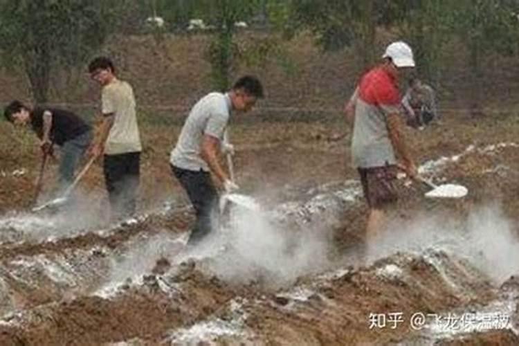 早上用生石灰消毒,下午可用 复合肥肥水吗？？？