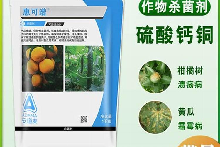 保洁公司取名字怎么取 保洁公司名字创意