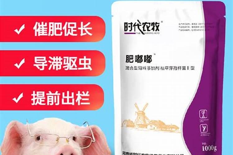 养法斗的注意事项